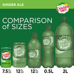 Load image into Gallery viewer, Canada Dry Ginger Ale 7.5 oz Mini Can Pack of 24
