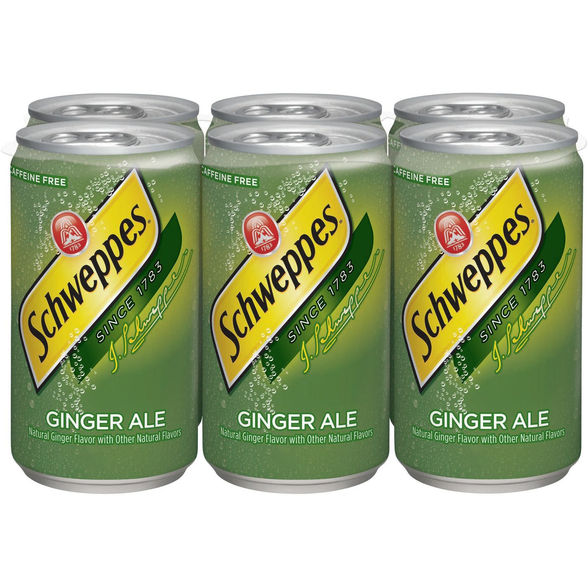 Schweppes Ginger Ale 7.5 oz Mini Can Pack of 24 – QPLASH.COM